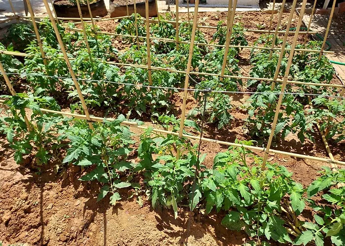 κτήμα Διαμέρισμα